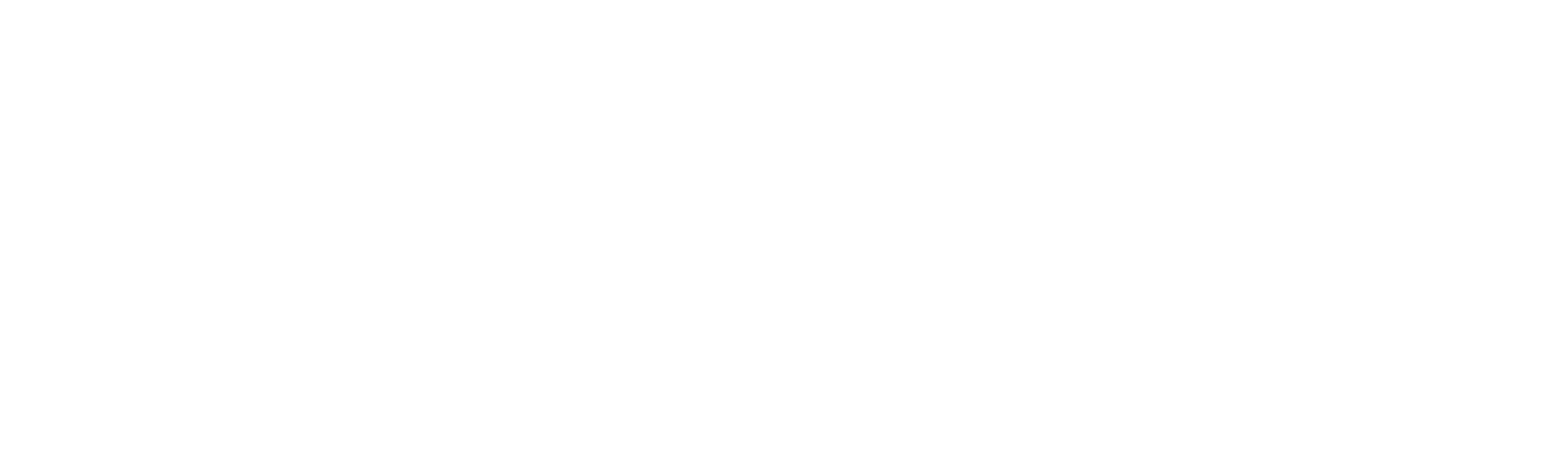 webfume white logo